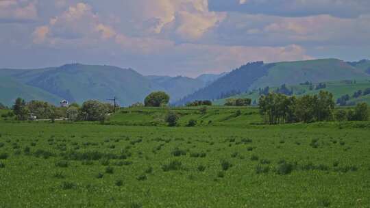 新疆那拉提河谷草原