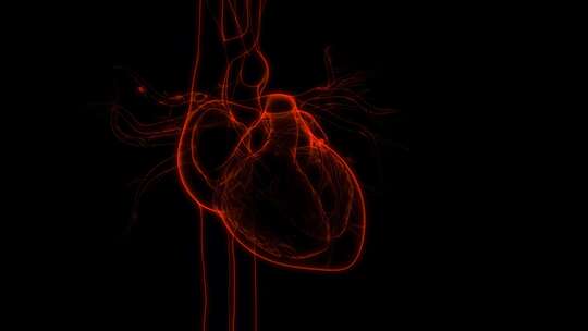 心脏跳动VR全息心脑血管AR模型_4K