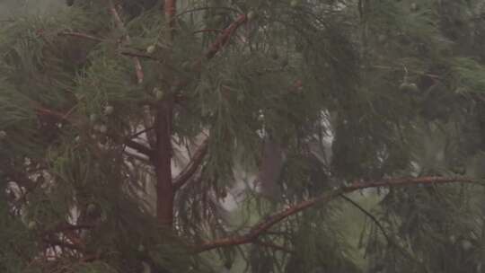 台风暴雨大雨狂风暴雨