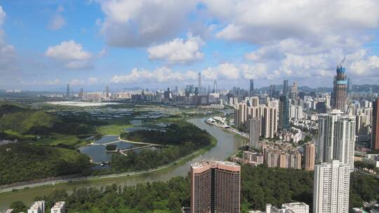 深圳河 水系 香港 交界处 水塘 红树林 湿地视频素材模板下载