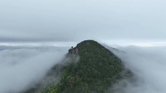 森林云海航拍山峰云雾缭绕雨后山林山脉风景