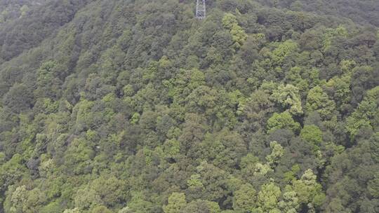 绿水青山