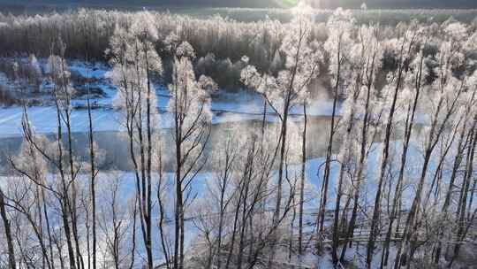 东北雪原冰河晶莹树挂冻雾阳光