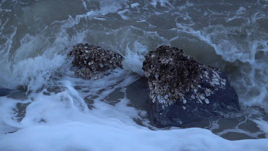 海边礁石被海水一遍遍的冲刷着