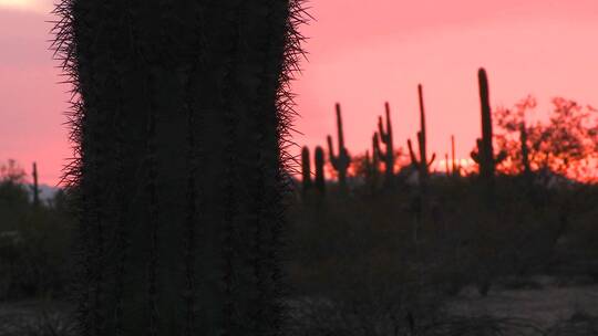太阳在沙漠地区落下视频素材模板下载
