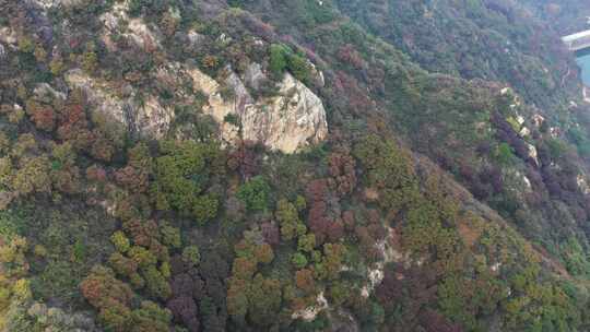 航拍秦岭秋天景色 秦岭 秋季