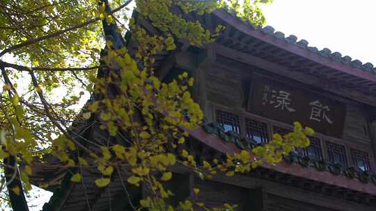 寺庙寺院祈福禅修禅意风景意境古建筑素材