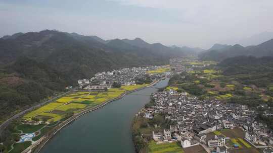 油菜花开 宣城市绩溪县龙川风光航拍素材