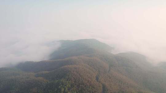 杭州萧山义桥寺坞岭望江阁日出云海竹海航拍