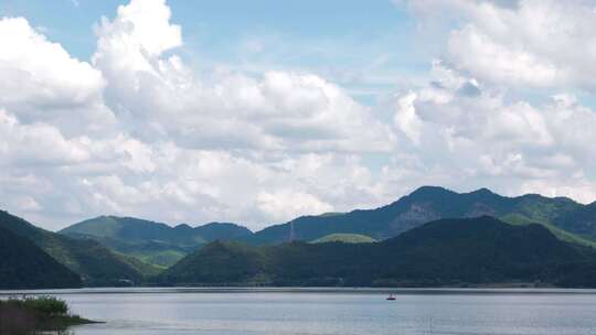 杭州临安青山湖水上森林