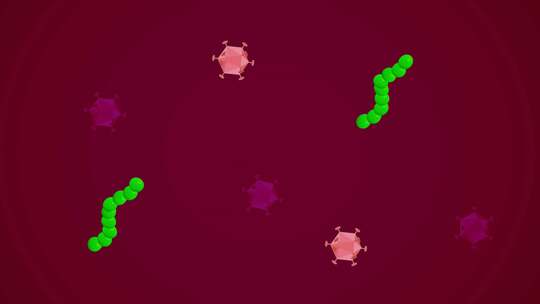 病毒细胞流动的动画。冠状病毒烟道，大流行