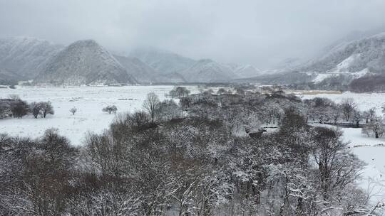 航拍湖北神农架大九湖冬季冰雪风光雪景