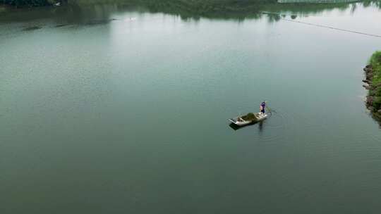 工人在湿地公园湖泊中清理水草