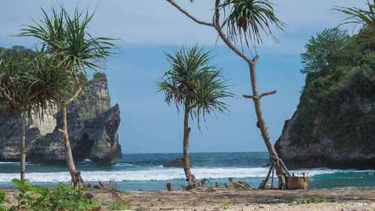 Nusa Penida，树木，岛屿，海洋