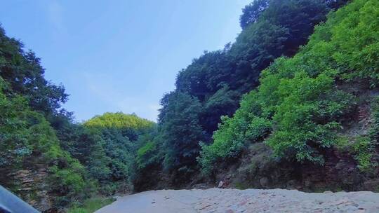 汽车行驶在满是绿树的峡谷中，山势险峻