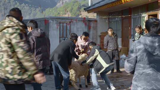 农村众人围抓羊的场景
