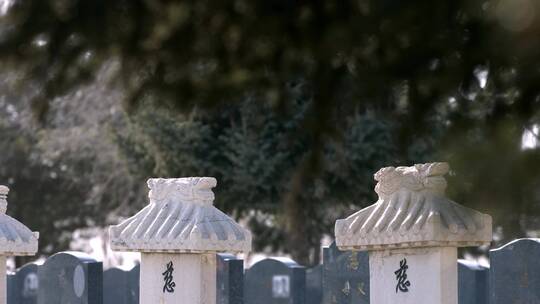 墓碑墓地祭祀祭祖慈祭拜先祖孝道视频素材模板下载