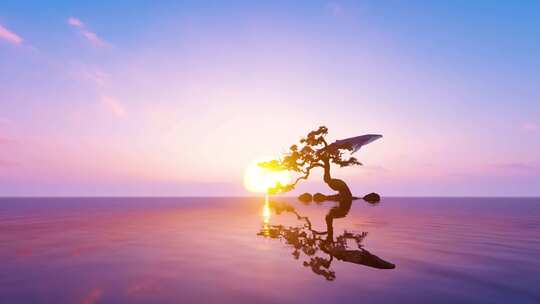 大气震撼唯美鲸鱼飞在海面