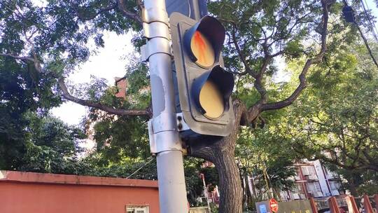 街上的指示灯