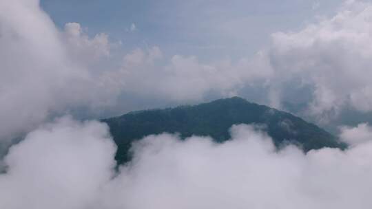 被绿色森林树木环绕的火山口湖