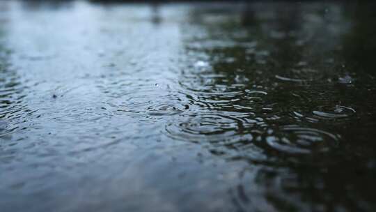 下雨 雨水 水滴 水面雨点  写意 悲伤 伤感