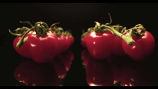 番茄 西红柿 大棚番茄 大棚西红柿视频素材模板下载