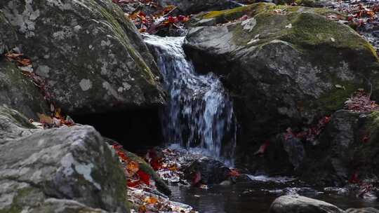 山涧林中岩石水流