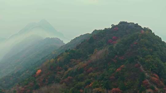 秦岭森林秋色