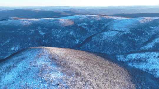 大兴安岭冬季黎明雪色山林