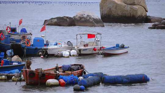 海港渔港渔船