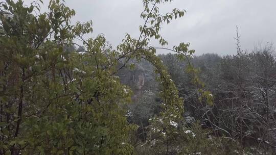 农村下雪场景，天然石佛，下水大佛