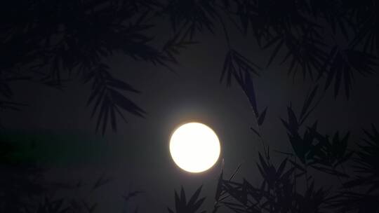 圆月月出月亮升起中秋视频素材模板下载