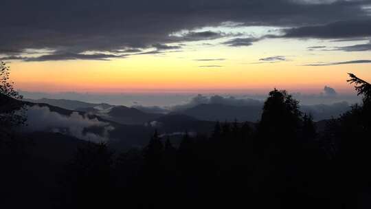 日出前山林风景