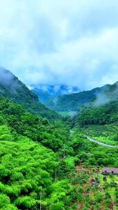 别光顾着看山峰的秋景，治愈系风景，山水