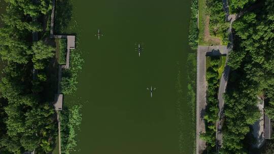 绿色生态公园河道划船活动航拍视频素材模板下载