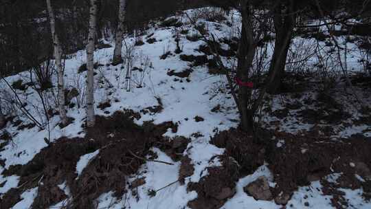 冬天 冬季 寒冷 凄凉 冷漠