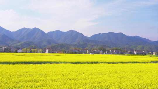 杭州富春江包家淇村春天风景