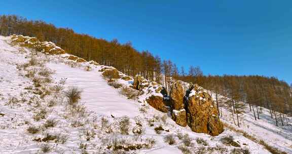 龙岩山风光