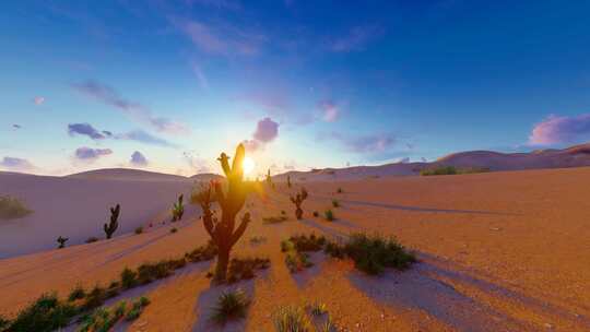 干旱沙漠清晨日出延时摄影一镜到底