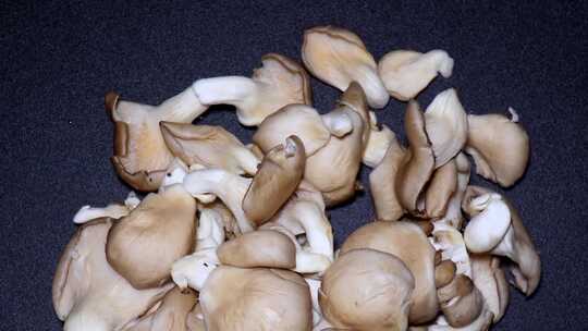 蘑菇平菇秀珍菇食用菌食材