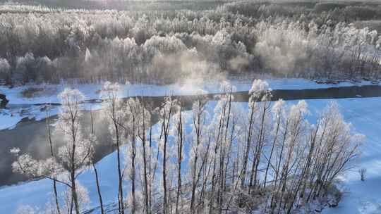 航拍林海雪原冰河树林冻雾暖阳