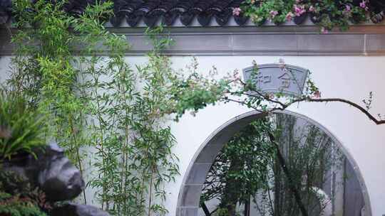 中式园林花园里的植物树和竹子视频素材模板下载