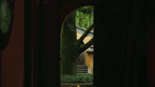 杭州灵隐寺 古建筑 自然风景