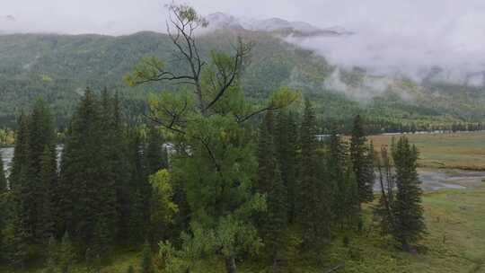 航拍新疆喀纳斯神仙湾秋景