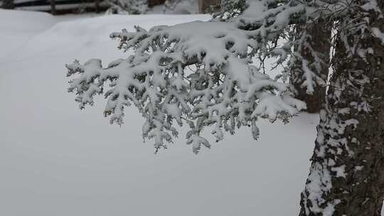 贺兰山金顶雪景视频 (47)