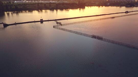 镜湖国家城市湿地中心 犭央犭茶湖晚霞风景