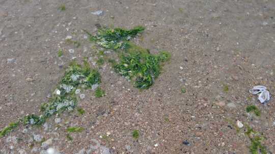 大海海浪沙滩风景蓝天白云实拍