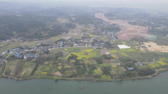 航拍乡村田野春季油菜花