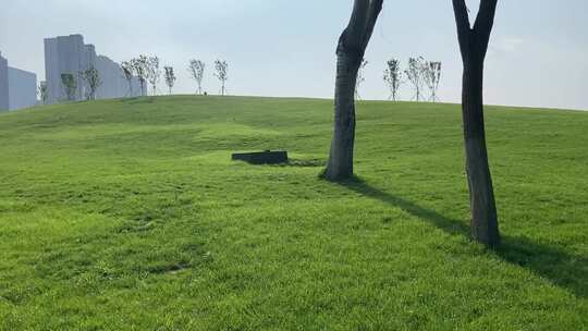 济南高新区金融科创公园，绿色草地小山坡