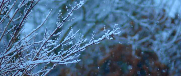 雪中送炭